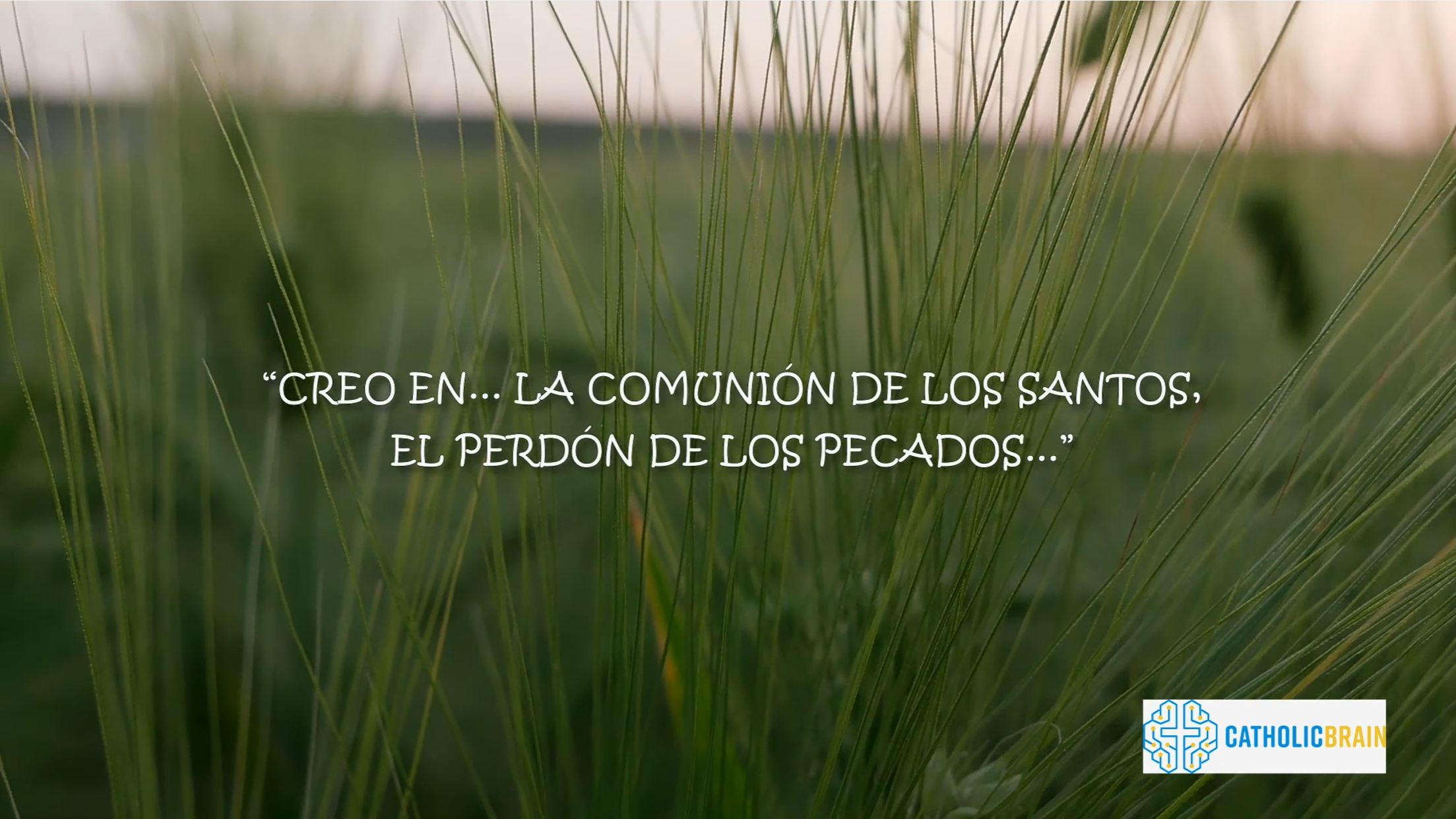Lección 13 - La comunión de los santos y el perdón de los pecados